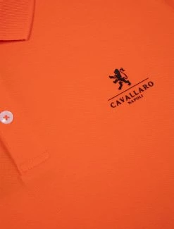 Cavallaro Napoli Campione Polo Oranje 14 Cavallaro Napoli Campione Polo Oranje -Cavallaro Napoli Shop 116226001 260000 03 positie 60 125
