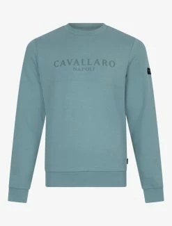 Cavallaro Napoli Marconi Sweater Groen 15 Cavallaro Napoli Marconi Sweater Groen -Cavallaro Napoli Shop 120225004 550000 01 positie 402c20voorkant 737