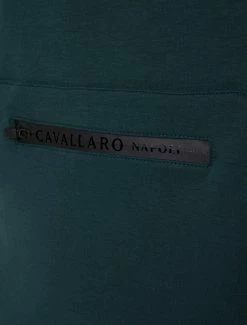 Cavallaro Napoli Cerniedo R-Neck Trui Donkergroen -Cavallaro Napoli Shop 120225010 599000 11 positie 20 255